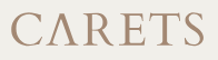 DeltaShipExpress Fulfillment Client Logo